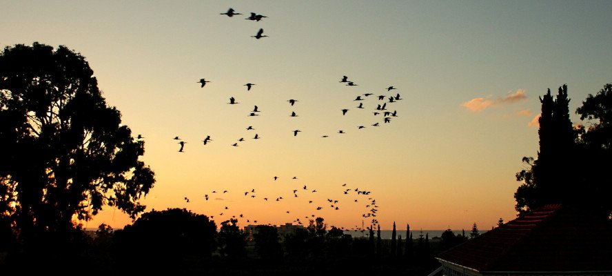 Khadir, the Sage and His Life