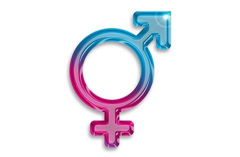 Transgenders and Transsexuals in Islam